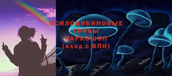 mdpv Богородск